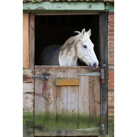 WM243886 18 in H x 12 in W Wallmonkeys Horse Stable Wall Mural Peel and Stick Graphic
